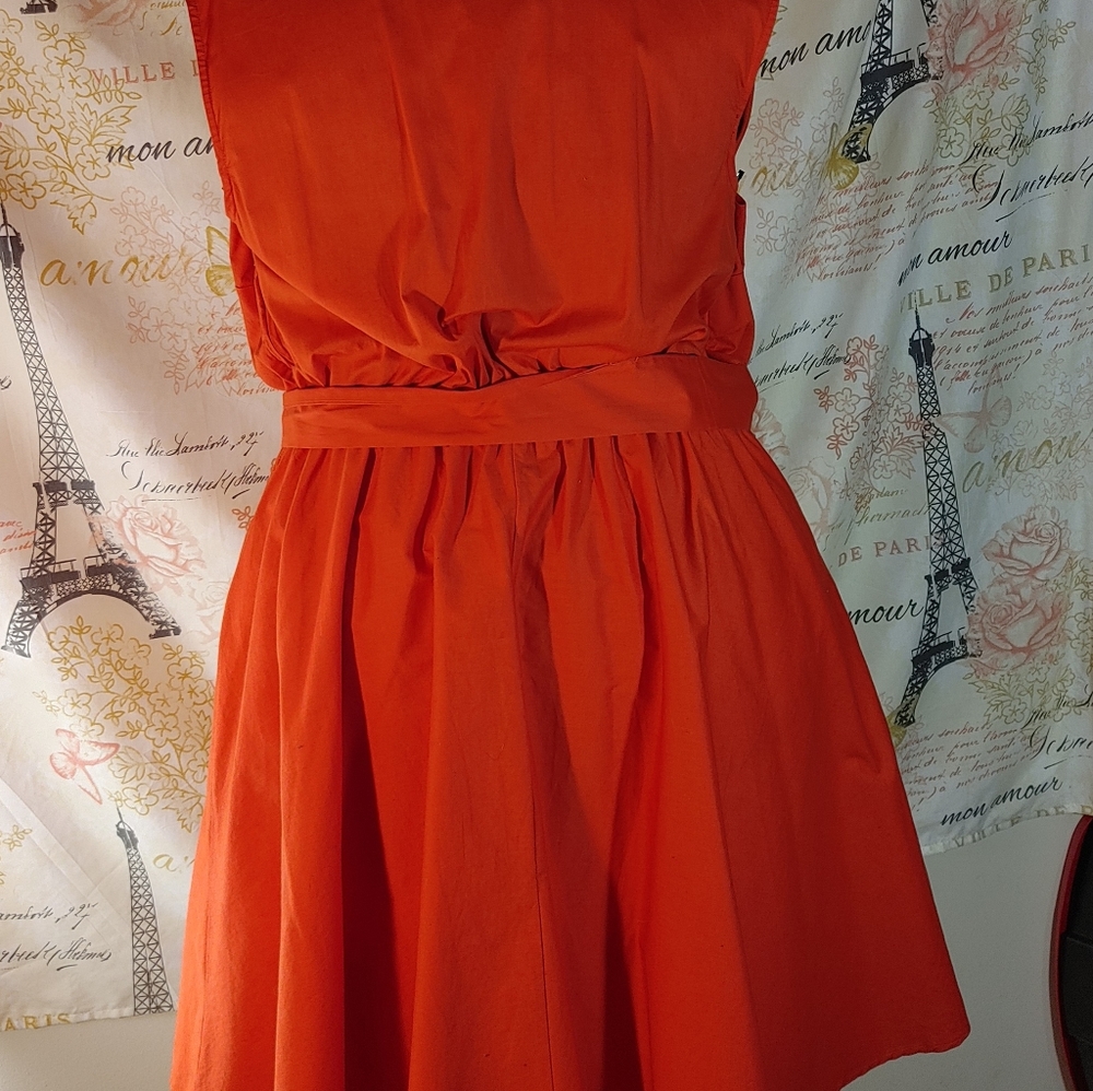 Ashley Stewart's Plus Size Orange Dress - Picture 11 of 13